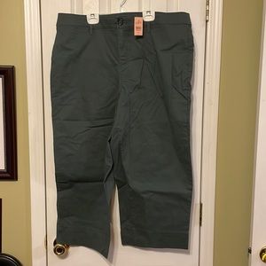 Dark Olive NWT Loft cropped pants
